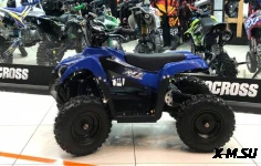 Электроквадроцикл Apollo RFZ  E-KING KONG 1000W