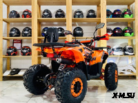 Квадроцикл FXMOTO HORNET 125