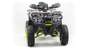 Квадроцикл PROMAX WILD 300 LUX (2024)