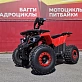 Квадроцикл PROMAX WILD 175 BASIC