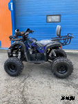 Квадроцикл Grizzly 110