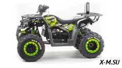 Квадроцикл PROMAX WILD 300 LUX (2024)