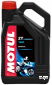 Масло моторное минеральное Motul 2Т 100 4л