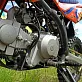 Питбайк Apollo RFZ START 125LE 17х14  PRO SPORT