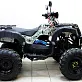 Квадроцикл ATV Avenger Tungus 250